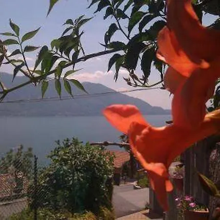 Sweet Lakeview