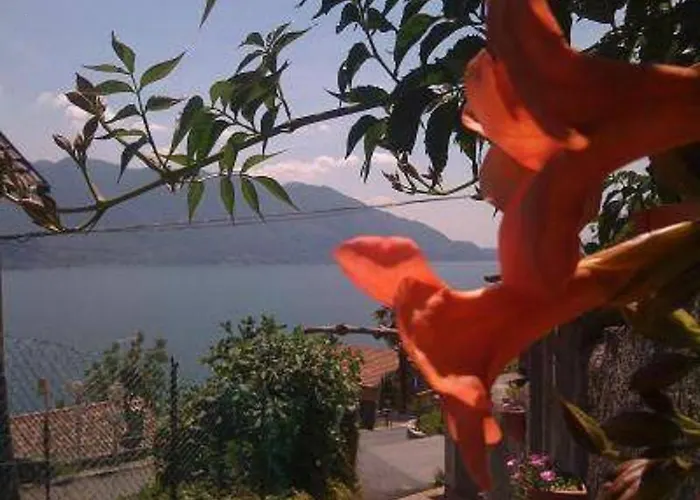Sweet Lakeview